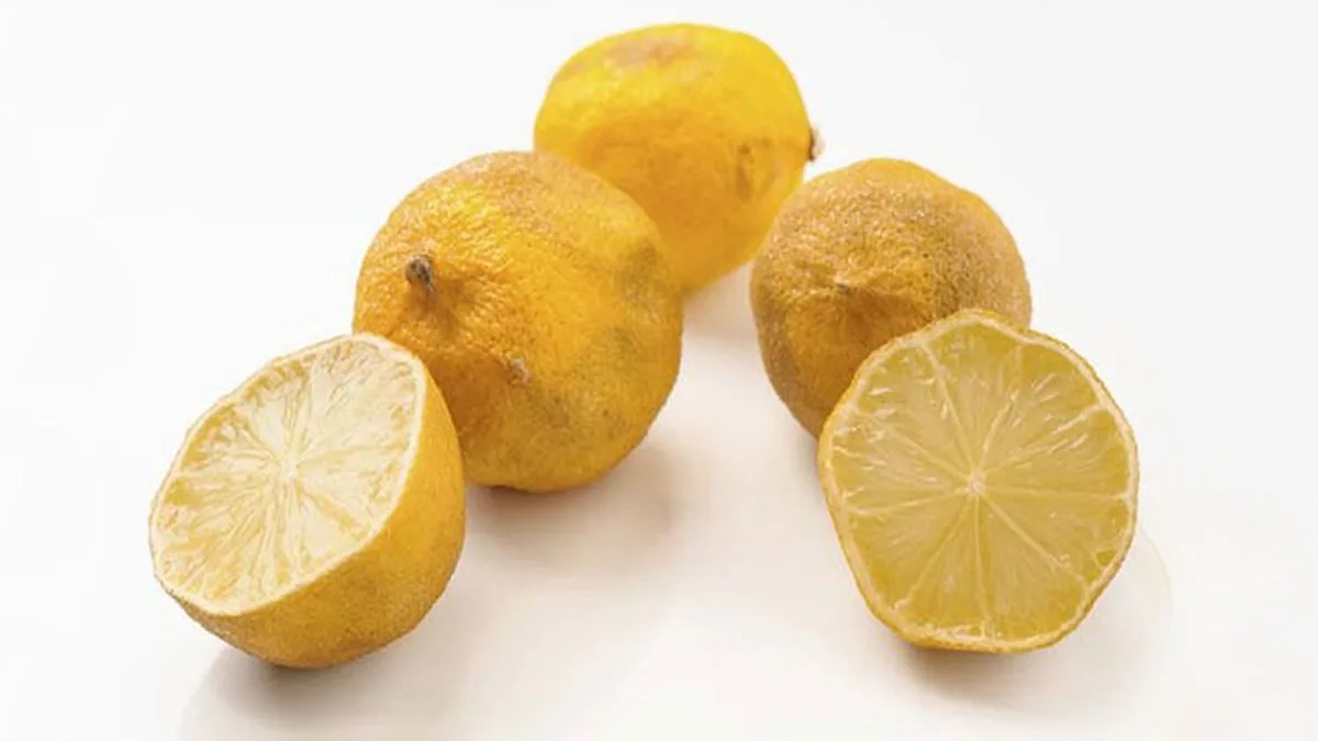 Voici ce qu'il faut faire avec les vieux citrons : il ne faut pas les jeter, ils valent beaucoup